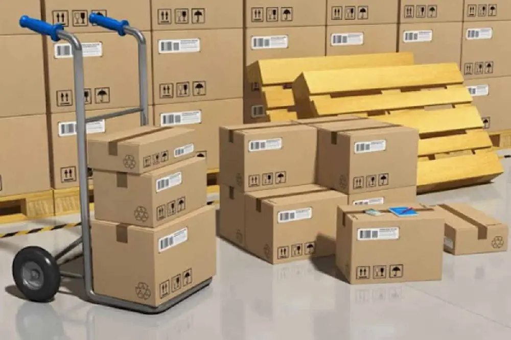 Professional Storage Services